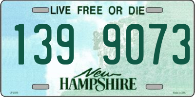 NH license plate 1399073