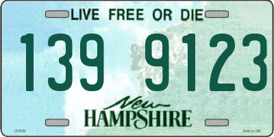 NH license plate 1399123