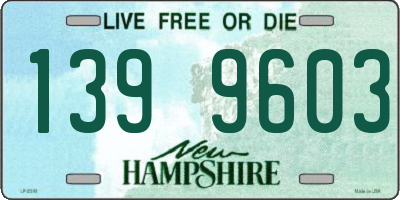 NH license plate 1399603