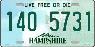 NH license plate 1405731