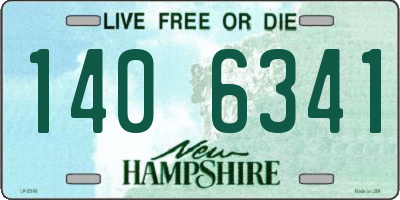 NH license plate 1406341