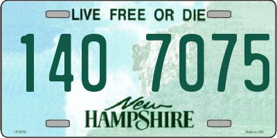 NH license plate 1407075