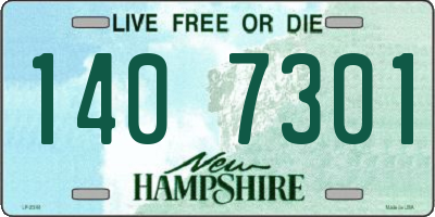 NH license plate 1407301