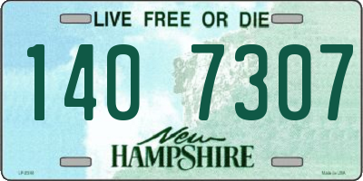 NH license plate 1407307
