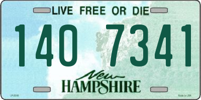NH license plate 1407341