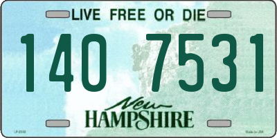 NH license plate 1407531
