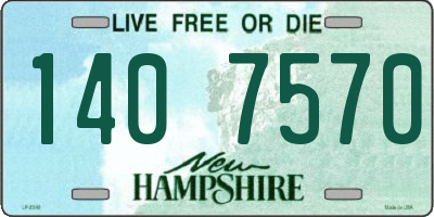 NH license plate 1407570