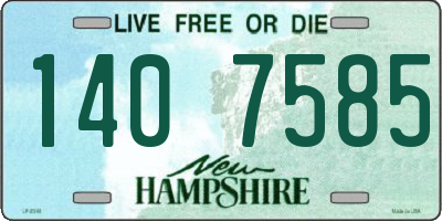 NH license plate 1407585