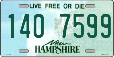 NH license plate 1407599