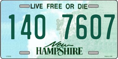 NH license plate 1407607