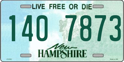 NH license plate 1407873