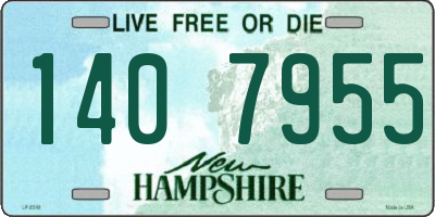 NH license plate 1407955