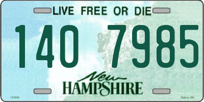NH license plate 1407985