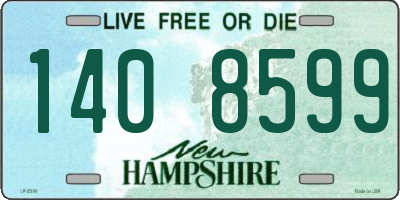 NH license plate 1408599