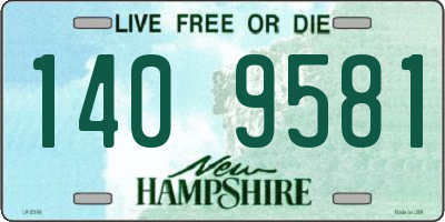 NH license plate 1409581