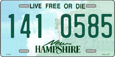 NH license plate 1410585