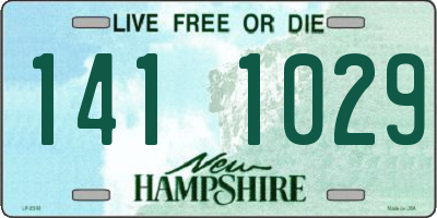 NH license plate 1411029