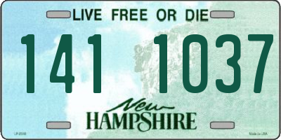 NH license plate 1411037