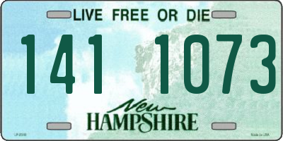 NH license plate 1411073