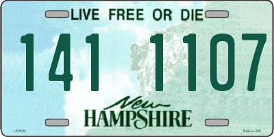 NH license plate 1411107
