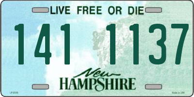 NH license plate 1411137