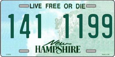 NH license plate 1411199