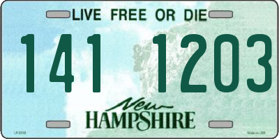 NH license plate 1411203