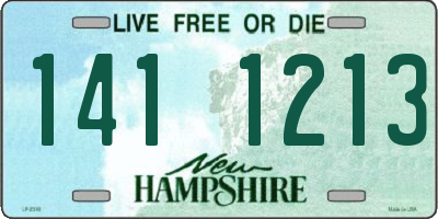 NH license plate 1411213
