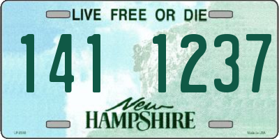 NH license plate 1411237