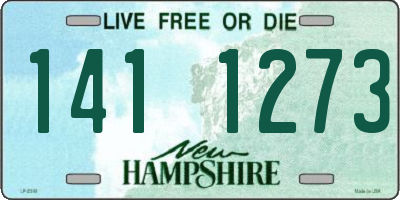 NH license plate 1411273
