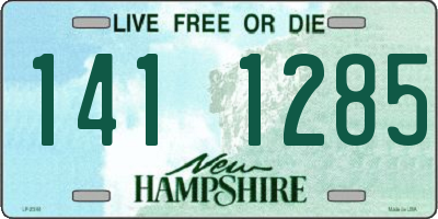 NH license plate 1411285