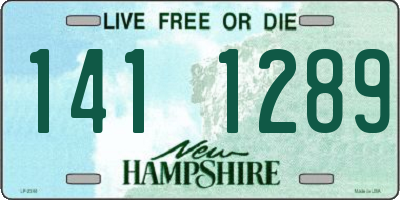 NH license plate 1411289