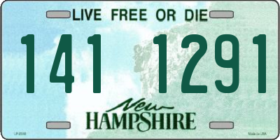 NH license plate 1411291