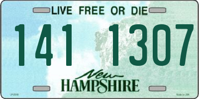 NH license plate 1411307
