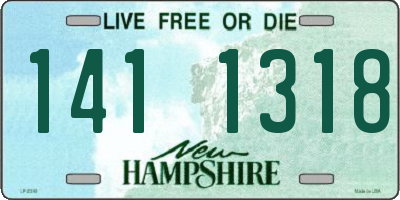 NH license plate 1411318