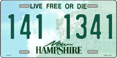 NH license plate 1411341