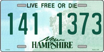 NH license plate 1411373