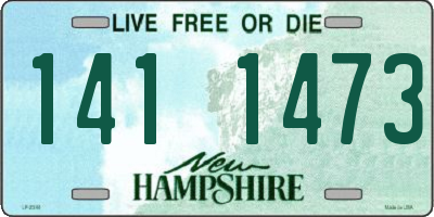 NH license plate 1411473