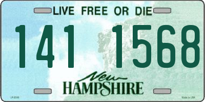 NH license plate 1411568