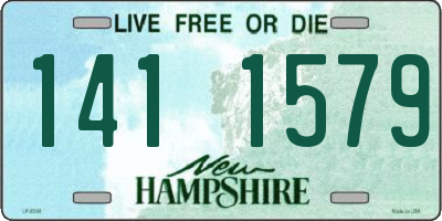 NH license plate 1411579