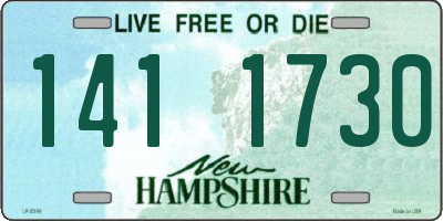 NH license plate 1411730