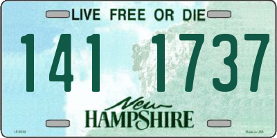NH license plate 1411737