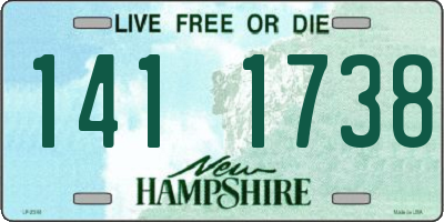 NH license plate 1411738