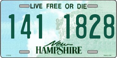 NH license plate 1411828