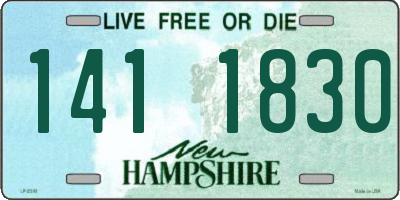 NH license plate 1411830