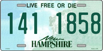 NH license plate 1411858