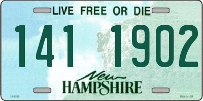 NH license plate 1411902