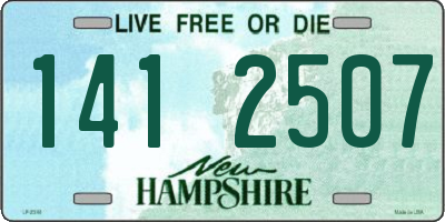 NH license plate 1412507