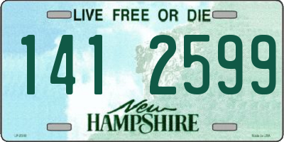 NH license plate 1412599