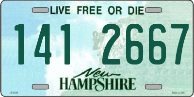 NH license plate 1412667